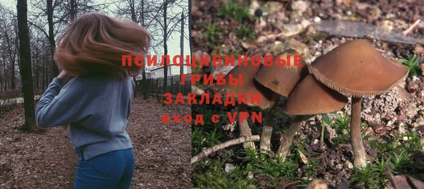 сатива Алексин