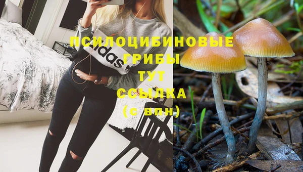 сатива Алексин