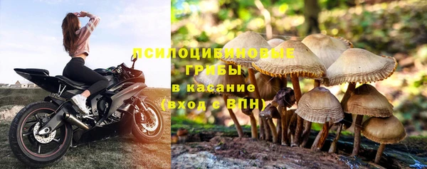 СК Алексеевка