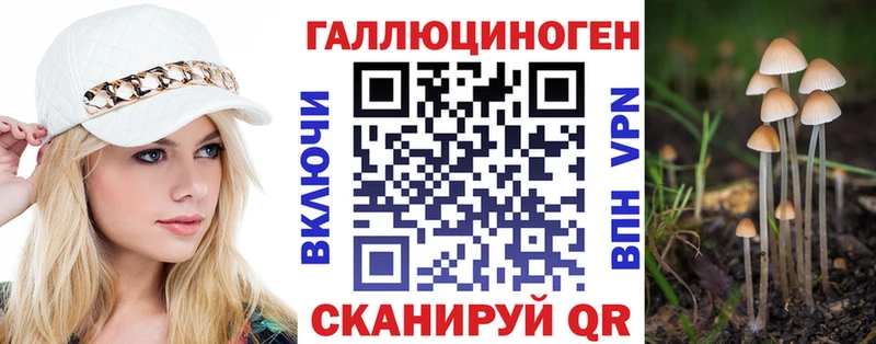 Галлюциногенные грибы Psilocybine cubensis  маркетплейс официальный сайт  Сибай  закладка  ОМГ ОМГ как войти 